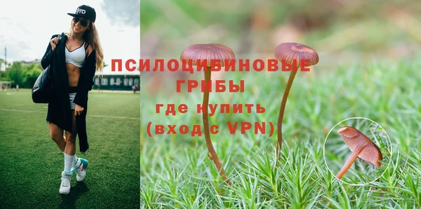 гашиш Бородино