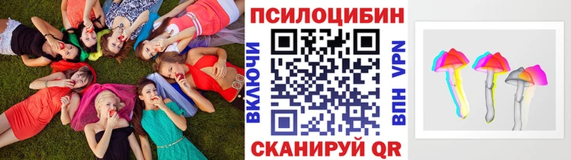 Галлюциногенные грибы GOLDEN TEACHER  shop клад  Кировск 